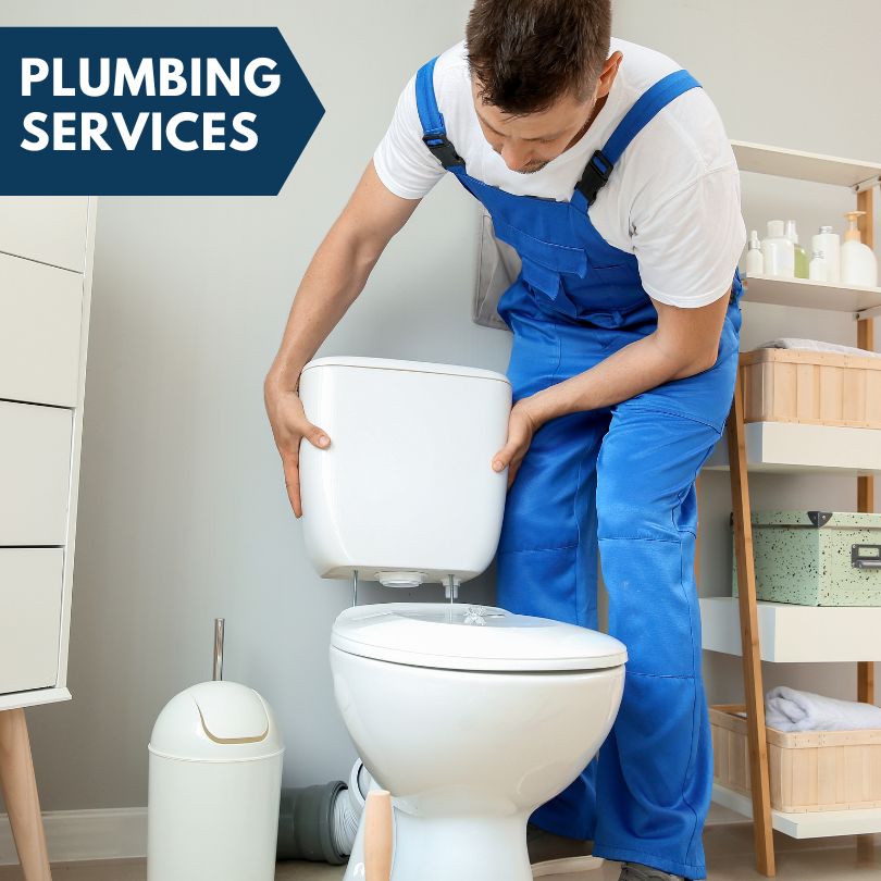 Plumbing Company in Merrill, MI